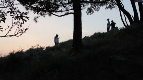 Silhouettes of two young couples stand out against the sky at dusk Video stock 248601294