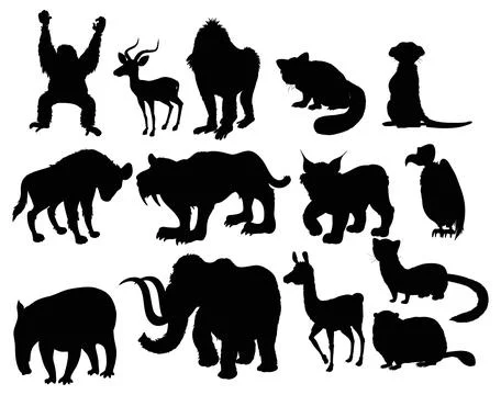 Silhouettes of Various Animals Collection Stock Illustration
