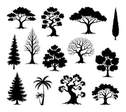Silhouettes of various tree types, including palm, pine, and deciduous trees Stock Illustration