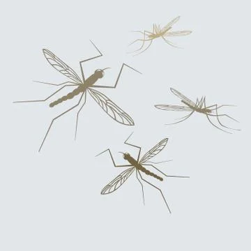 Silhouettes of vector mosquito イラスト素材