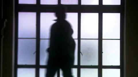 Silhouettes Walking Stock Footage 22691312
