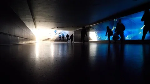 Silhouettes walking by in slow-motion 動画素材 115349881
