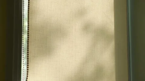 Silhouettes of waving on wind tree branches, shadows on the window from plants Stock Footage 141331582