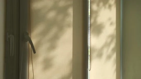 Silhouettes of waving on wind tree branches, shadows on the window from plants Stock Footage 141331949