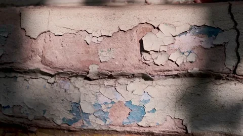 Silhouettes of waving on wind tree branches, shadows on brick house wall Stock Footage 141614919