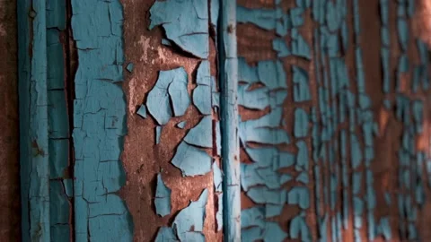 Silhouettes of waving on a wind tree branches, shadows on the wooden door Stock Footage 141635238