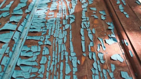 Silhouettes of waving on a wind tree branches, shadows on the wooden door Stock Footage 141709747