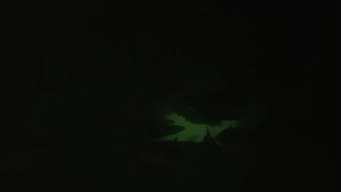 Silhouettes of wels catfish backlit in a dark tunnel Stock Footage 319131322