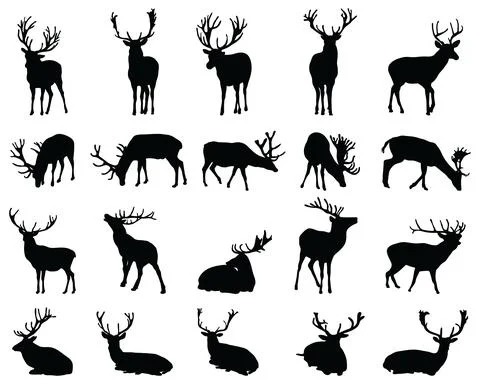 Silhouettes of wild deers Stock Illustration