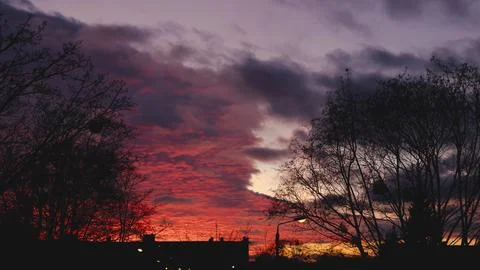 Silhouettes of winter trees against the backdrop of a red sunset, dramatic sk Stock Photos