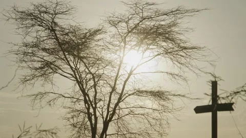 Silhoutte of a Grave Cross and  a Tree on the Background Stock Footage 243684463
