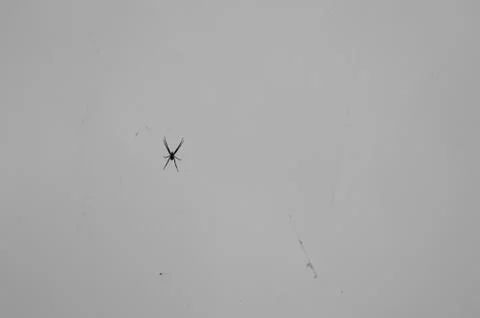 Silhoutte of a small spider on a web against an over cast sky. A spider web,  Stock Photos