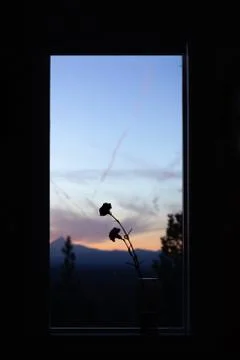 Silhoutte of two carnations through a window with sunset and mountains. Foto stock