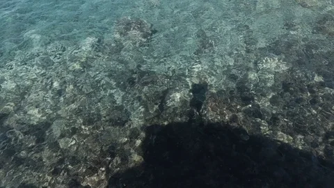 Silhuet Water Stock Footage 128860412