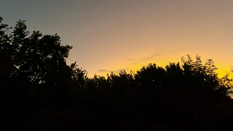 Silhuette trees with orange sunset Stock Footage 318448878
