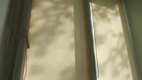 Silhuettes of waving on wind tree branches, shadows on the window from plants Stock Footage 141214174