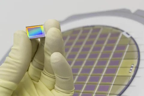 Silicon wafer with microchips, fixed in a holder with a steel frame on a gray Stock Photos