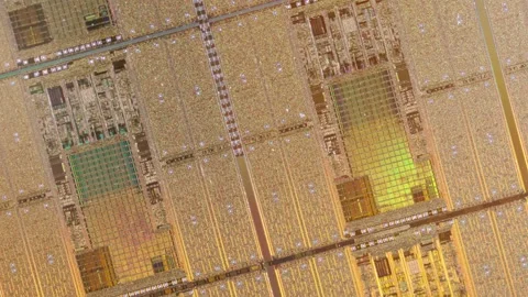 Silicon Wafers and Microcircuits of semiconductor material Stock Footage 240600743