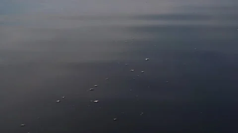 Silicone jig head falling in the water. Slow motion Stock Footage 54898900