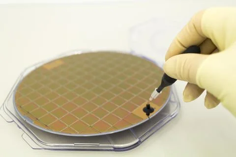 Silicone wafer in a plastic case on the table is take out by hand in a yellow Stock Photos
