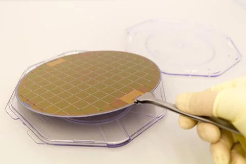 Silicone waffles in a plastic case on the table is take out by hand in a whit Stock Photos