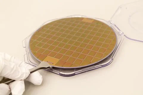 Silicone waffles in a plastic case on the table is take out by hand in a whit Stock Photos