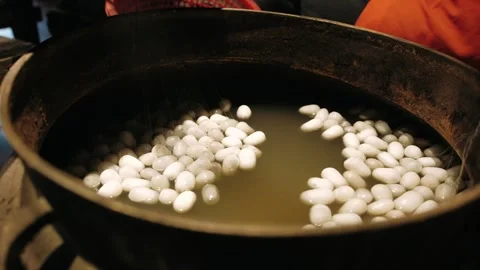 Silk cocoons boiling in hot water in a traditional vietnam factory for seri.. Stock Footage 336977876
