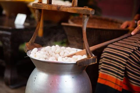 Silk Cocoons Boiling In Large Pot Stock Photos