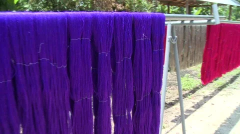 Silk dying Stock Footage 582659
