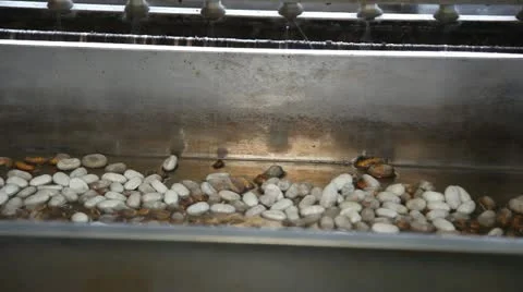 Silk Factory Stock Footage 12448938