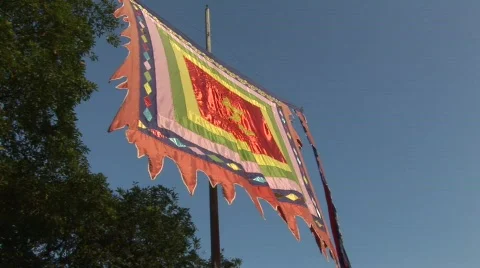 Silk flag with Chinese character Stock Footage 288798