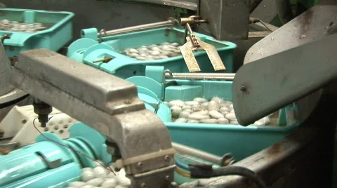Silk making Stock Footage 582488