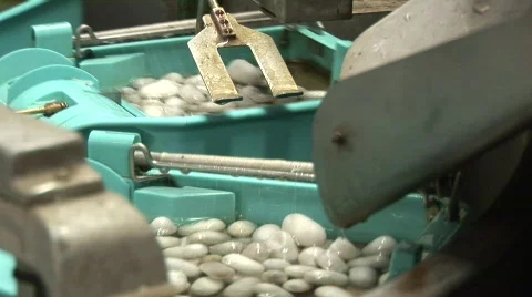 Silk making Stock Footage 582495