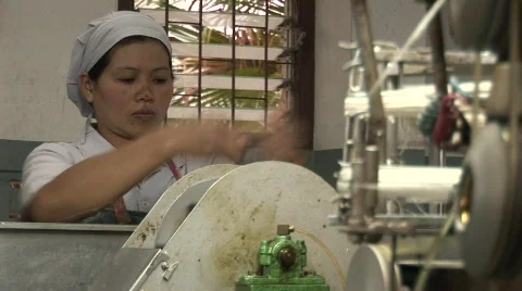 Silk making Stock Footage 582498