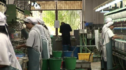 Silk making Stock-Footage 582510