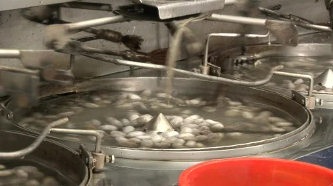 Silk making Stock Footage 582535