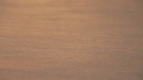 Silk Making, Raw silk closeup Stock Footage 78094881