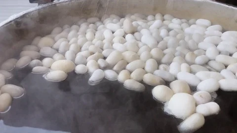 Silk manufacturing cocoon boiling process. Silk making and handmade craft Stock Footage 82651383