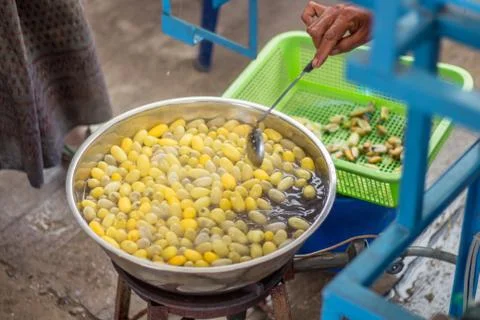 Silk process local wisdom Stock Photos