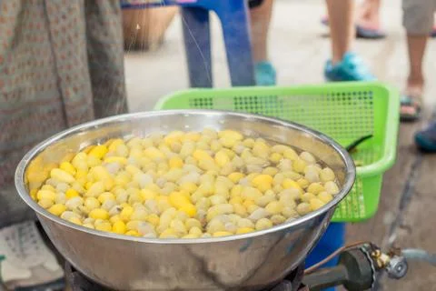 Silk process local wisdom Stock Photos