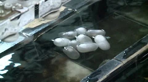 Silk production 2 Stock Footage 10588206