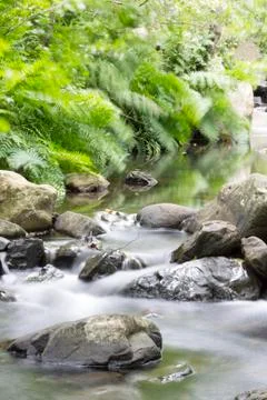 Silk River stream in the forest, long exposure Stock Photos
