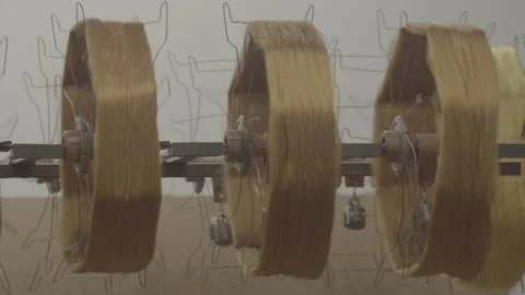 Silk Shop Machinery Threading Stock Footage 206561375