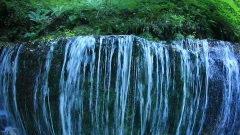Silk Thread Falls and the Forest Stock Footage 324893117