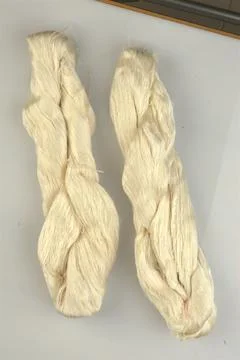 Silk Thread Stock Photos