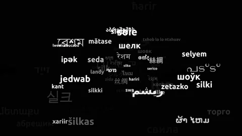 Silk Translated in 72 Worldwide Languages Endless Looping 3d Zooming Wordclou Stockbeeldmateriaal 145211890