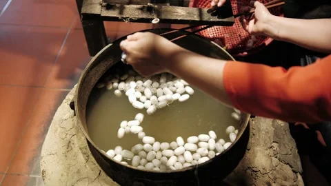 Silk worker boiling silkworm cocoons for thread extraction in a traditional.. Stock-Footage 336978306