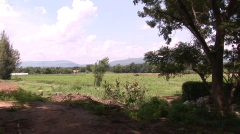 Silk worm farm Stock Footage 583323