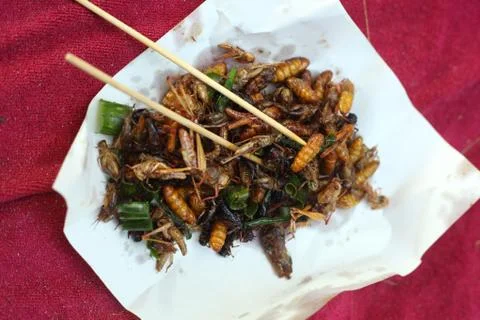 Silkworm beetle grasshopper mixture roasted with onion Stock Photos