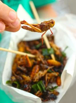 Silkworm beetle grasshopper mixture roasted with onion close up photo Stock Photos